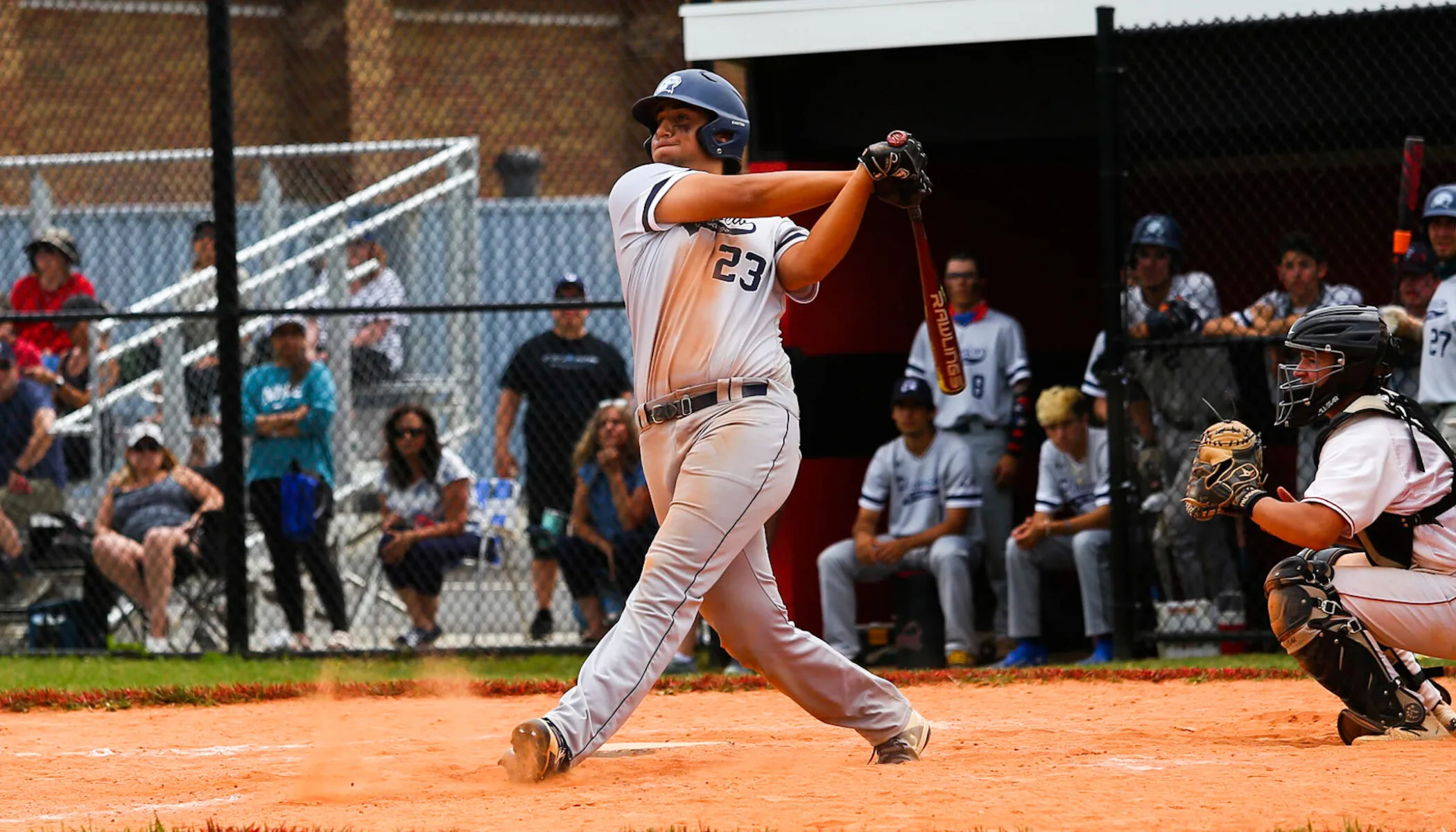 wp shop -wp shop IMG 2918 2100x1200 1